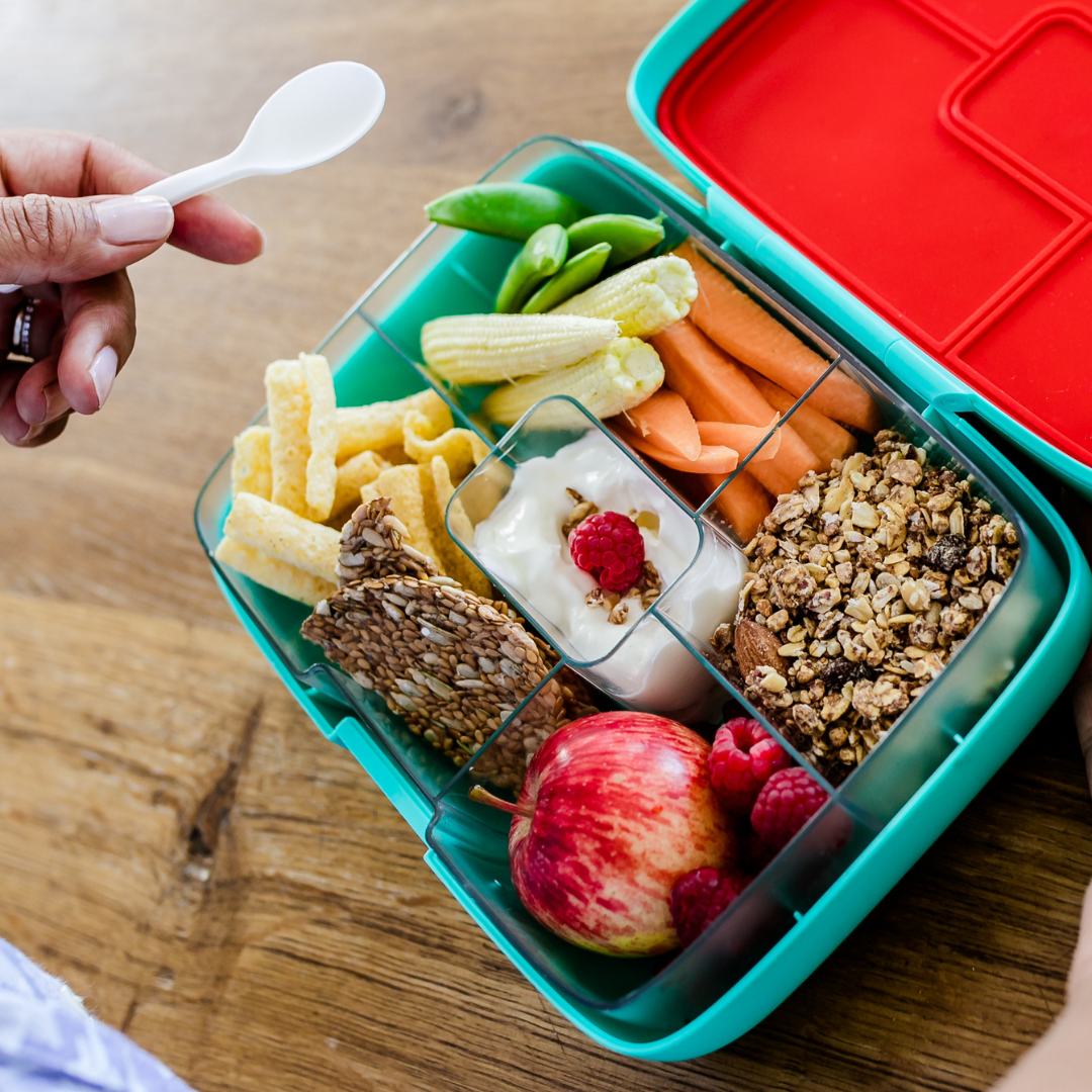 Compostable Spoons